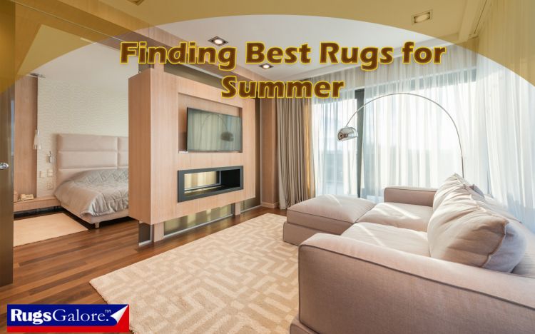 Finding Best Rugs for Summer 2022